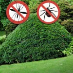 mosquito and tick control can make your yard safe from disease carriers