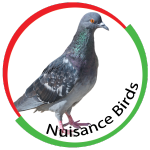 nuisanceBirds