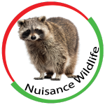 nuisance Wildlife