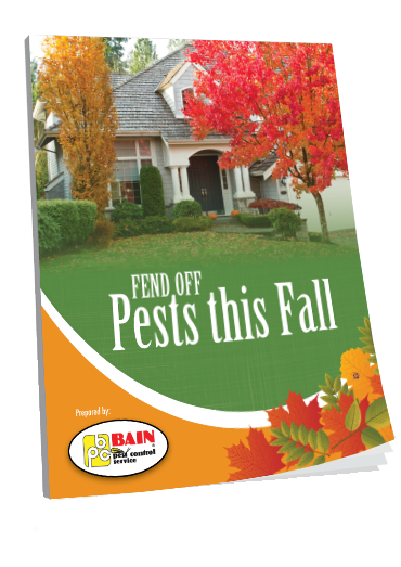 Fend Off Pests This Fall