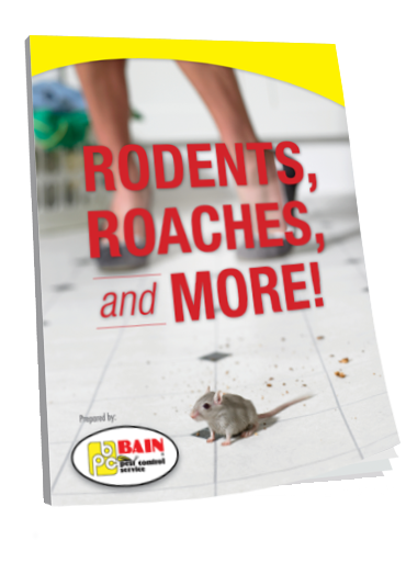 Rodents, Roaches, and More!