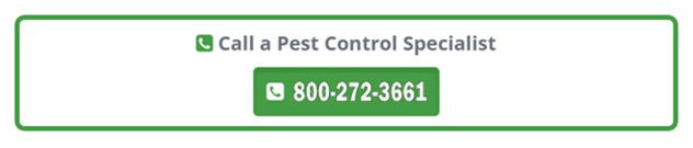 for pest control specialist call 800-272-3661
