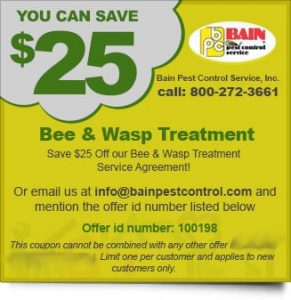 save-bee-wasp-min